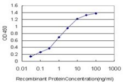 Monoclonal Anti-PASK antibody produced in mouse clone 6D10, purified immunoglobulin, buffered aqueous solution