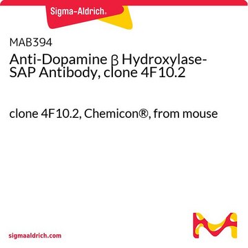 Anti-Dopamine &#946; Hydroxylase-SAP Antibody, clone 4F10.2 clone 4F10.2, Chemicon&#174;, from mouse