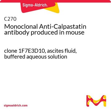 单克隆抗-钙抑素 小鼠抗 clone 1F7E3D10, ascites fluid, buffered aqueous solution