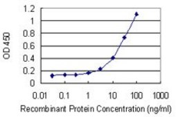 Monoclonal Anti-RPS11, (C-terminal) antibody produced in mouse clone 2A5, purified immunoglobulin, buffered aqueous solution