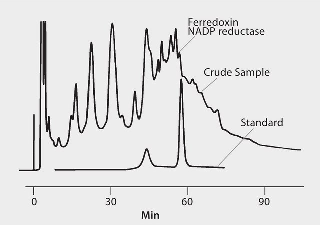 HPLC Analysis of Ferredoxin NADP Reductase on TSKgel&#174; Phenyl-5PW application for HPLC