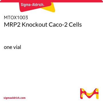 MRP2 Knockout Caco-2 Cells one vial