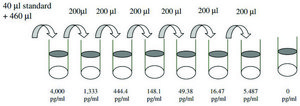 Mouse I-TAC / CXCL11 ELISA Kit for serum, plasma and cell culture supernatant