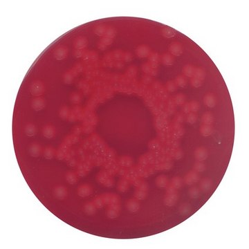 Blood agar (base) no. 2 for the cultivation of fastidious microorganisms