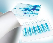 Immobilon®-E PVDF Membrane 4 sheets, 7 cm x 8.4 cm, The first PVDF transfer Membrane for western blotting that wets out in transfer buffer or water. For chemiluminescence or chromogenic detection.