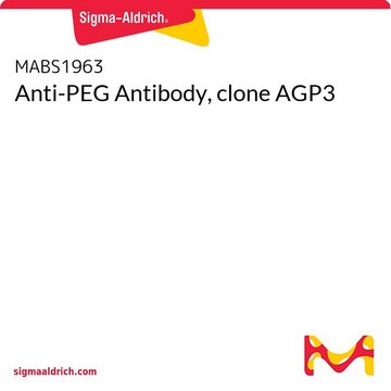 Anti-PEG Antibody, clone AGP3