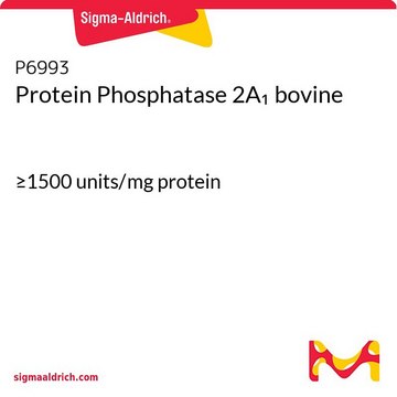 Protein Phosphatase 2A1 bovine &#8805;1500&#160;units/mg protein