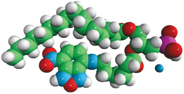 16:0-06:0 NBD PA Avanti Polar Lipids 810173P, powder