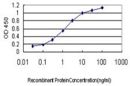 Monoclonal Anti-POLR2I antibody produced in mouse clone 2B3, purified immunoglobulin, buffered aqueous solution