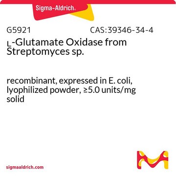 L-Glutamate Oxidase from Streptomyces sp. recombinant, expressed in E. coli, lyophilized powder, &#8805;5.0&#160;units/mg solid