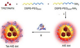 LuminiCell Tracker 670-细胞标记试剂盒 Biocompatible organic fluorescent nanoparticles (AIEDots) that can be used to label cells for long term cell tracking and cell tracing in vitro and in vivo experiments.