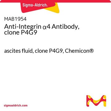 Anti-Integrin &#945;4 Antibody, clone P4G9 ascites fluid, clone P4G9, Chemicon&#174;