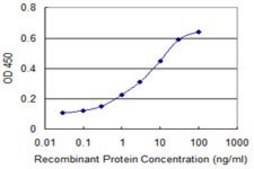 ANTI-PRL antibody produced in mouse clone 1A8, purified immunoglobulin, buffered aqueous solution
