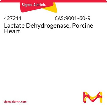 Lactate Dehydrogenase, Porcine Heart