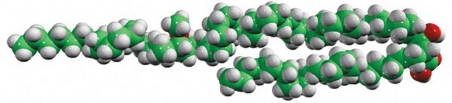 &#945;-mycolic acid, methoxy cis powder