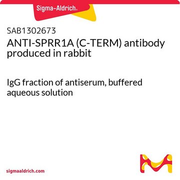 ANTI-SPRR1A (C-TERM) antibody produced in rabbit IgG fraction of antiserum, buffered aqueous solution