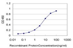 Monoclonal Anti-CTAG2 antibody produced in mouse clone 3H1, purified immunoglobulin, buffered aqueous solution