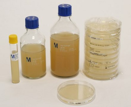 Plate Count Agar Determination of the total viable count of aerobic bacteria from milk, dairy products, water, and other sample materials.