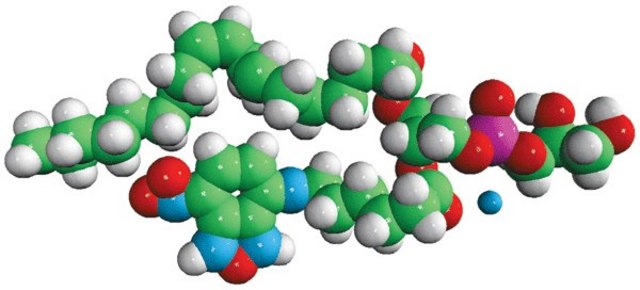18:1-06:0 NBD PG Avanti Research™ - A Croda Brand