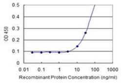 Monoclonal Anti-EXOSC5, (N-terminal) antibody produced in mouse clone 1E11, purified immunoglobulin, buffered aqueous solution