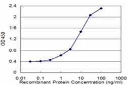 Monoclonal Anti-TPBG antibody produced in mouse clone 1B6, purified immunoglobulin, buffered aqueous solution