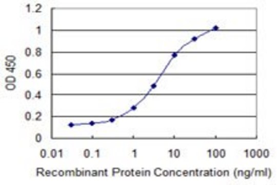 Monoclonal Anti-NDRG2 antibody produced in mouse clone 1D6, purified immunoglobulin, buffered aqueous solution