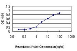 Monoclonal Anti-GCK antibody produced in mouse clone 3C7, purified immunoglobulin, buffered aqueous solution