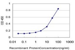 Monoclonal Anti-LASS4 antibody produced in mouse clone 7D1, purified immunoglobulin, buffered aqueous solution