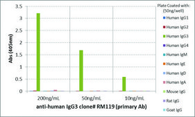 Anti-Human IgG3 antibody, Rabbit monoclonal recombinant, expressed in HEK 293 cells, clone RM119, purified immunoglobulin