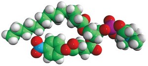 14:0 NPS PC 1-myristoyl-2-(4-nitrophenylsuccinyl)-sn-glycero-3-phosphocholine, powder