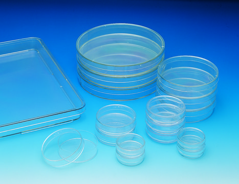 Nunclon&#174; cell culture dishes L × W × H 245&#160;mm × 245&#160;mm × 20&#160;mm