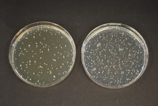 TOS-Propionate Agar (Base) GranuCult&#174;, suitable for microbiology, for Bifidobacterium spp.