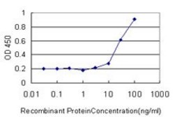 Monoclonal Anti-PTK7 antibody produced in mouse clone 1A8, purified immunoglobulin, buffered aqueous solution