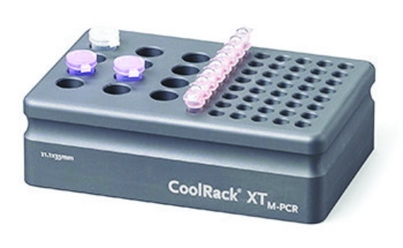 Corning&#174; CoolRack&#174; XT-M-PCR, capacity 12 x 1.5 or 2 mL microfuge tubes and 6 strip wells