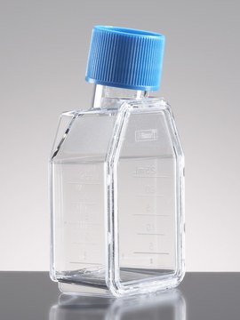 Corning&#174; Falcon&#174; Cell Culture Flask capacity 25&#160;mL, canted neck, graduated, 2 &#8209; 25&#160;mL, cap, blue vented