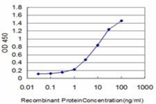 ANTI-FOXQ1 antibody produced in mouse clone 3B9, purified immunoglobulin, buffered aqueous solution