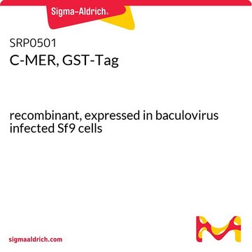 C-MER, GST-Tag recombinant, expressed in baculovirus infected Sf9 cells