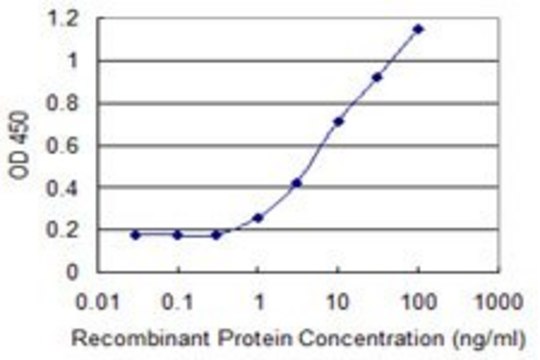 Monoclonal Anti-ARID5B, (C-terminal) antibody produced in mouse clone 1C2, purified immunoglobulin, buffered aqueous solution