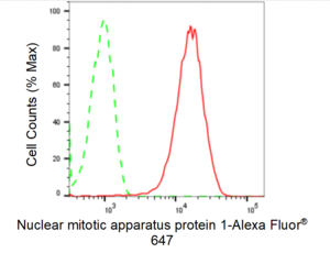KD-Validated Anti Nuclear Mitotic Apparatus Protein 1 Antibody, clone 24GB1290, Rabbit Monoclonal clone 24GB1290, recombinant rabbit monoclonal, expressed in HEK293 cells