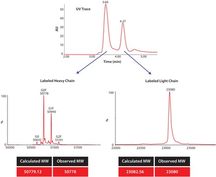 SILu&#8482;MAB 稳定同位素标记的通用单克隆抗体标准品 人 recombinant, expressed in CHO cells