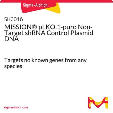 MISSION&#174; pLKO.1-puro 非靶 shRNA 对照质粒DNA Targets no known genes from any species