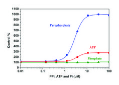 Pyrophosphate Assay Kit sufficient for 200 fluorometric&nbsp;tests (Blue fluorescence)