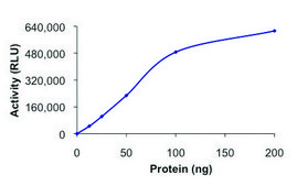 PIK3C3 (Vps34)，活性，GST 标记 人 PRECISIO®, recombinant, expressed in baculovirus infected Sf9 cells, ≥70% (SDS-PAGE), buffered aqueous glycerol solution