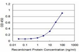 Monoclonal Anti-RAB43 antibody produced in mouse clone 4C11, purified immunoglobulin, buffered aqueous solution