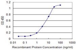Monoclonal Anti-TBX21 antibody produced in mouse clone 3D7, purified immunoglobulin, buffered aqueous solution