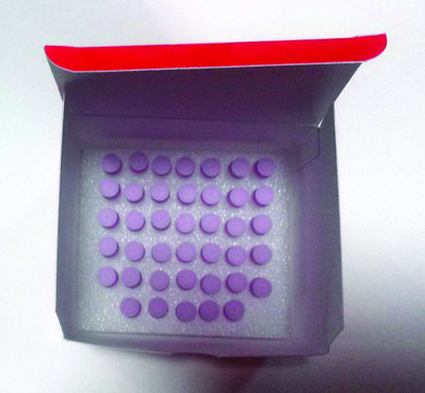 SIG10 Chemically Competent Cells for protein expression and DNA plasmid production