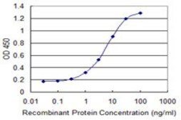 Monoclonal Anti-TRIM72, (C-terminal) antibody produced in mouse clone 2G1, purified immunoglobulin, buffered aqueous solution