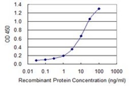 Monoclonal Anti-XPR1, (C-terminal) antibody produced in mouse clone 2G8, purified immunoglobulin, buffered aqueous solution