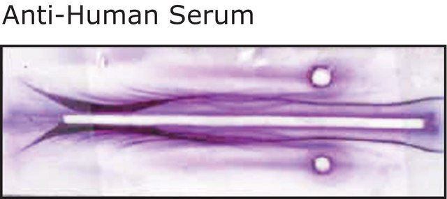 Anti-Human Serum antibody produced in goat whole antiserum