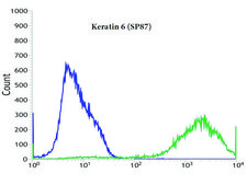 Anti-Keratin 6 antibody, Rabbit monoclonal recombinant, expressed in proprietary host, clone SP87, affinity isolated antibody